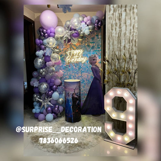 Frozen Theme Decor for 9th Birthday