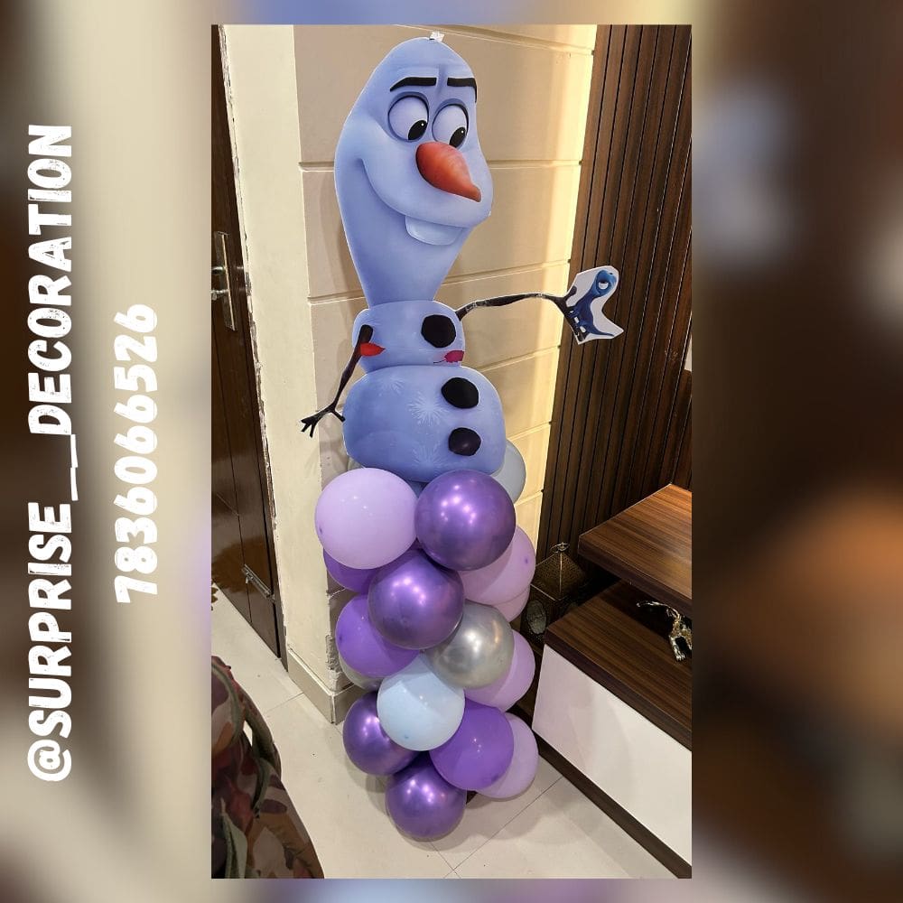 Frozen Theme Decor for 9th Birthday
