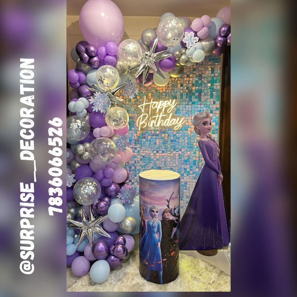 Frozen Theme Decor for 9th Birthday